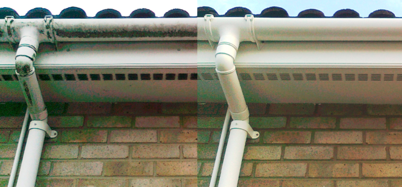 Fascia Cleaning Service